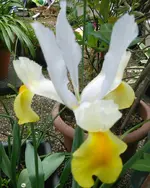 tmp_CYMERA_20140422_121326-116104735.webp