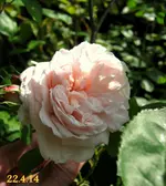 IMG_2486-001.webp