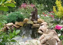 Teich3.webp