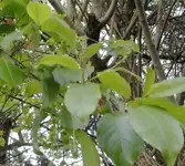 Zwischenablage01.webp