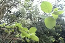 Zwischenablage02.webp