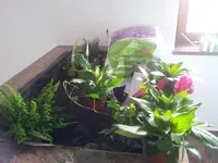 2014-04-22 18.08.05.webp