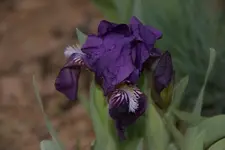 DSC08399.webp
