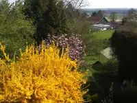 BILD2688.webp