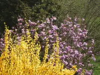 BILD2689.webp