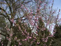 BILD2691.webp