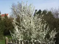 BILD2699.webp