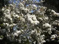 BILD2714.webp