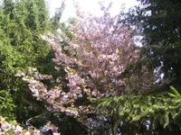 BILD2721.webp