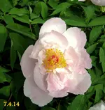 IMG_2425-001.webp