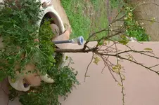 DSC_0565.webp DSC_0565.webp