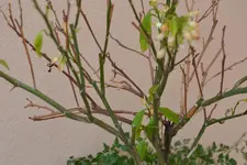 DSC_0567.webp DSC_0567.webp