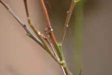 DSC_0572.webp DSC_0572.webp