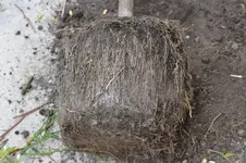 DSC_0580.webp DSC_0580.webp