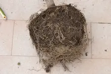 DSC_0582.webp DSC_0582.webp