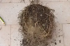 DSC_0583.webp DSC_0583.webp