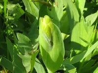 008_1024x768.webp