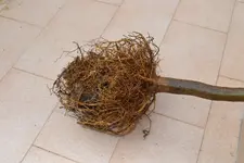 DSC_0589.webp DSC_0589.webp