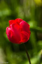 IMG_7080.webp