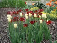 DSCF7748.webp