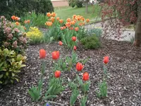 DSCF7750.webp
