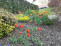 20140422_154356.webp