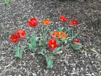 20140422_154405.webp