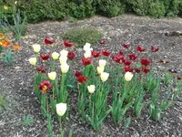 20140422_154428.webp