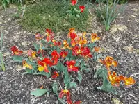 20140422_154439.webp