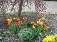 20140422_154452.webp