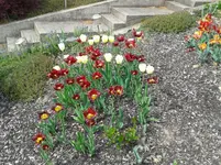20140422_154459.webp