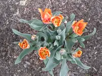 20140422_154524.webp
