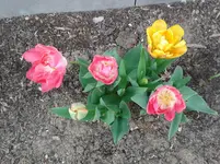 20140422_154533.webp