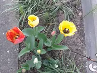 20140422_154632.webp