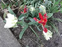 20140422_154639.webp