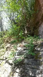 Felswand hinter dem Haus von hinten nach vorne 1.webp