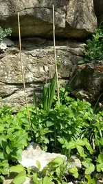 10255222_721771774510633_308260_n.webp