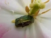 P1050016.webp