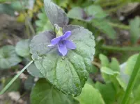 P1050020.webp