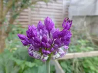 P1050027.webp