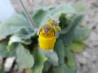 P1050380.webp