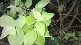 WP_20140424_002.webp