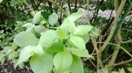 WP_20140424_004.webp