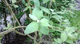 WP_20140424_013.webp