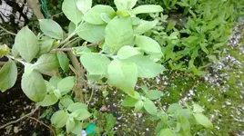WP_20140424_014.webp