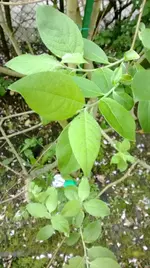 WP_20140424_016.webp