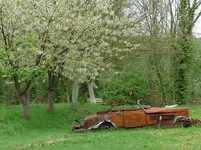 P1130160.webp