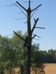 G_Baum_Schaukel_Vogelhaus__23.04.2014_mr.ditschy.jpg