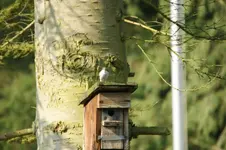 DSC01131.webp