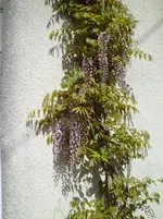 PICT0062.webp